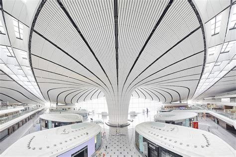 Zaha Hadid Architects Beijing Daxing Airport Zaha Hadid Architects