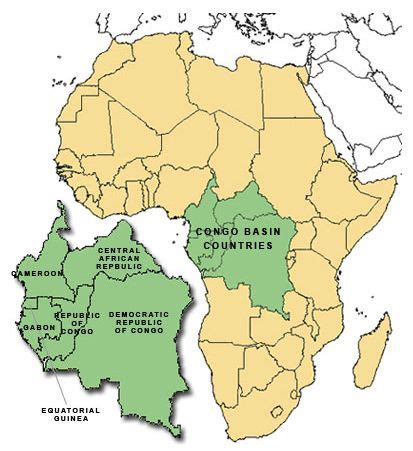 Longitude is an inappropriate measure, tropical forests are constrained by latitude and geography not longitude. Location - The Congo Rainforest