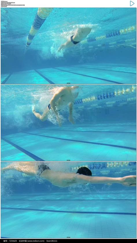 游泳运动员仰泳实拍视频素材下载红动中国