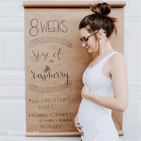 8 Week Pregnant Uterus