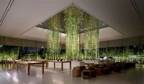 The Benefits Of Biophilic Design