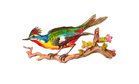 Antique Images Free Bird Clip Art Antique Bird Clip Art