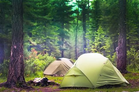 Many people assume that tents are the most important camping gear that every camper needs, but it's only partly true. There's Magic In The Forest: Forest Camping Tips for ...