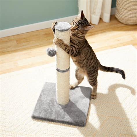 Frisco 21 In Sisal Cat Scratching Post With Toy Gray