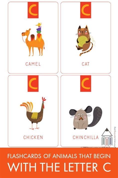 Animals that start with c. Flashcards Of Animals That Begin With The Letter C ...