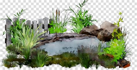 Landscaping Clipart Pond Grass Landscaping Pond Grass Transparent Free For Download On