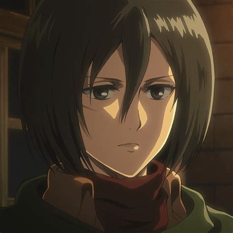 Mikasa Ackerman Shingeki No Kyojin Wiki Fandom Powered By Wikia