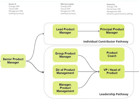 The Typical Career Pathway In Product Management Things You Need To