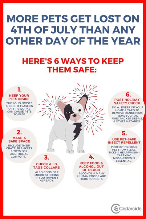 10 Ways To Keep Pets Safe This Fourth Of July Cedarcide Dogs And