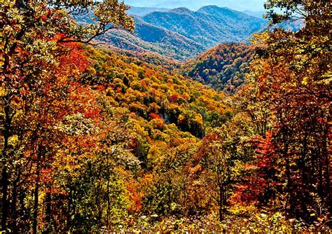 Smoky Mountains Magical Fall Foliage Americaware