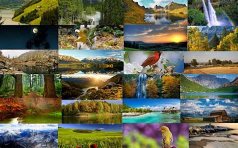 A Collage Of Many Different Pictures With Trees And Mountains