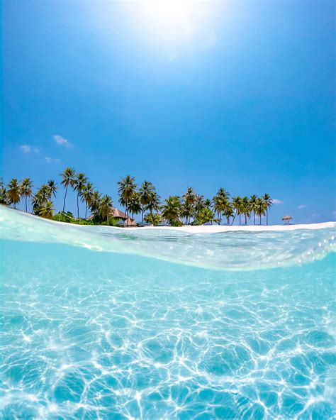 Crystal Clear Water Near Coconut Trees Under The Sun Sea Clear Ocean