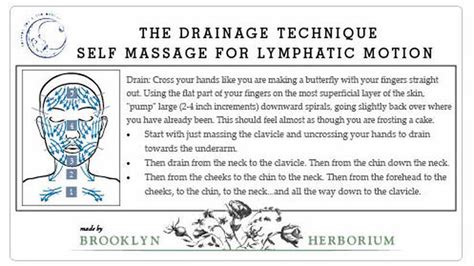 Self Lymphatic Drainage Between You And The Moon By Brooklyn Herborium