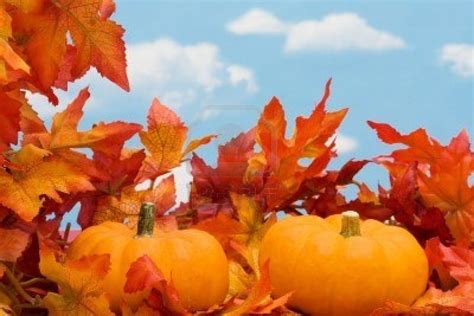 10 Fall Pictures With Pumpkins And Leaves