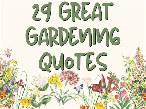 32 Quotes About Vegetable Garden Images