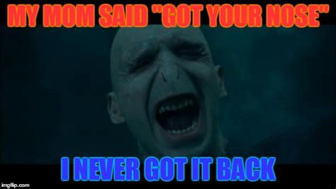 Voldemort Noooooo Imgflip