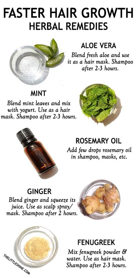 Herbal Remedies For Faster Hair Growth The Little Shine