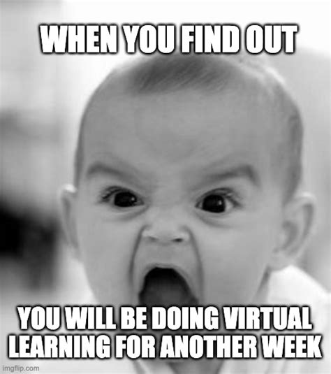 More Virtual Learning Imgflip