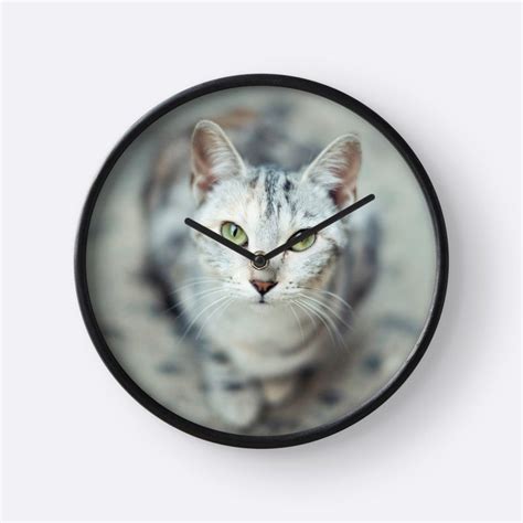 Cats Eyes Clock Con Imágenes