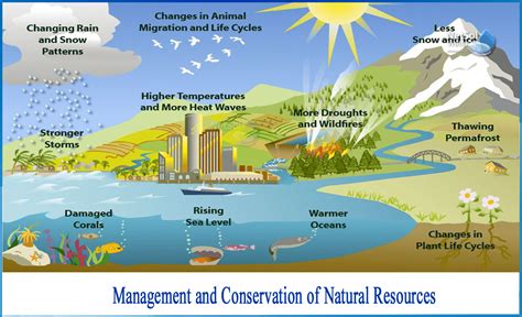 What Do You Mean By Conservation And Management Of Natural Resources