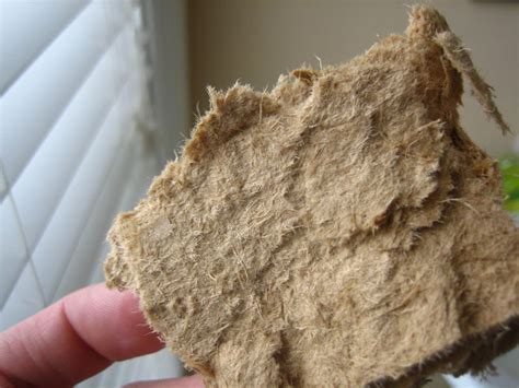 Check spelling or type a new query. Asbestos and old ceiling tiles... - Pelican Parts Forums