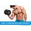 Tips To Gain Biceps And Triceps  Find Health