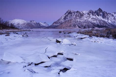 Mountains Over A Fjord In Winter On The Lofoten Norway Stock Image