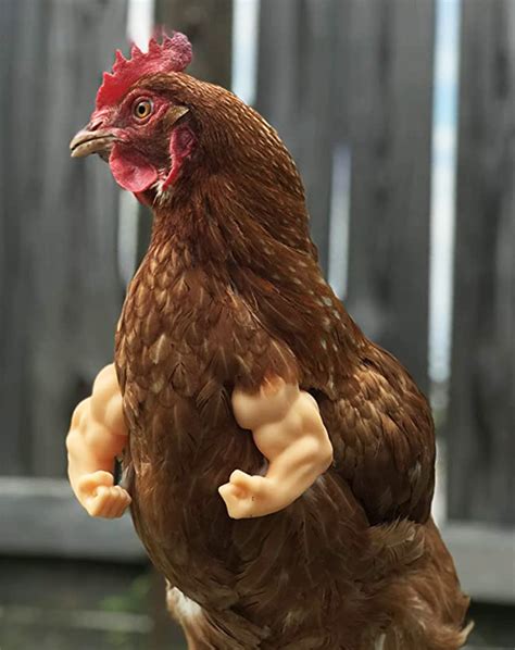 3d Printed Human Arms For Chicken