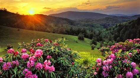 Beautiful Mountain Top Sunset Wallpaper High Definition