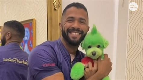 Christmas dog makeovers by a San Diego groomer makes pups festive