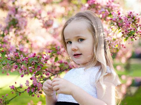 Cute Little Girl Is Standing In Pink Blossom Flowers Background Wearing