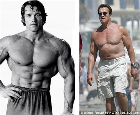 Arnold Schwarzenegger Now Arnold Schwarzenegger Then And Now Arnold