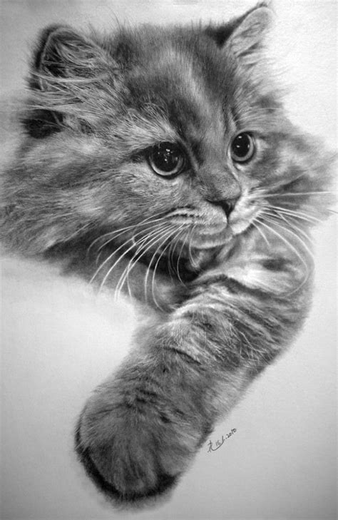 17 Best Images About Cats In Art On Pinterest Tabby Cats Calico Cats