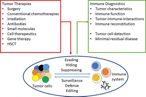 Frontiers Editorial Modulation Of Human Immune Parameters By