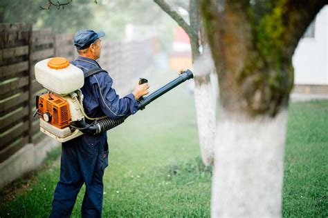 Mosquito Control In Dacula And Hoschton Perfectly Green Lawn Care