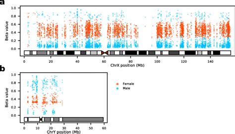 Females And Males Exhibit Distinct Methylation Patterns At Download Scientific Diagram