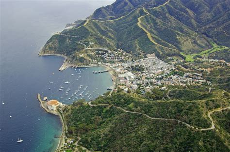 Avalon Bay - Catalina Island in CA, United States - harbor Reviews