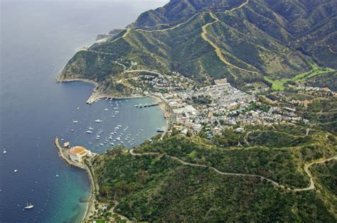 Avalon Bay Catalina Island In Ca United States Harbor Reviews