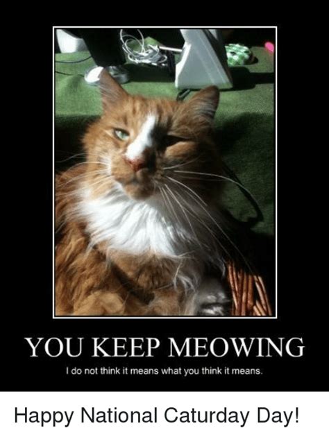 Caturday Night Meme Funny Cat Memes Caturday Night Fever World