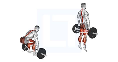 Kettlebell Box Squat Guide Benefits And Form