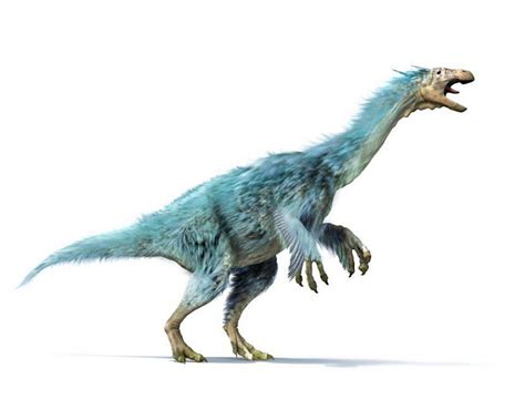 У тёти Сони Алксазавр Alxasaurus Elesitaiensis