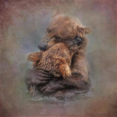 Vintage Painting Of A Big Bear Hug In The River Bears Living In The
