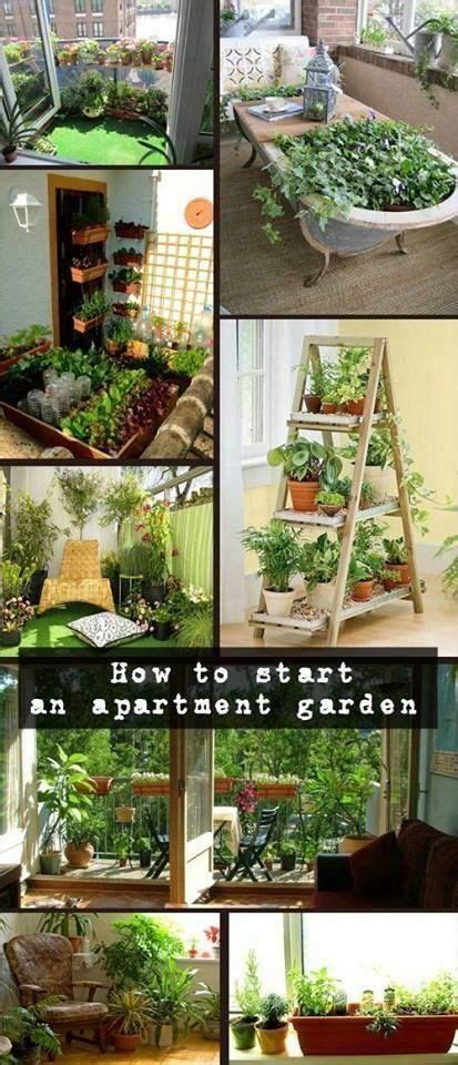 5 Tips To Start Your Indoor Garden Apartment Garden
