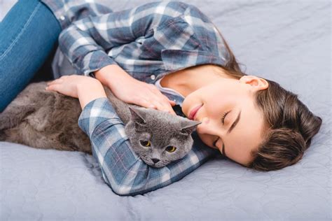 Why Do Cats Knead Their Owners 8 Reasons You Should Know I Discerning Cat