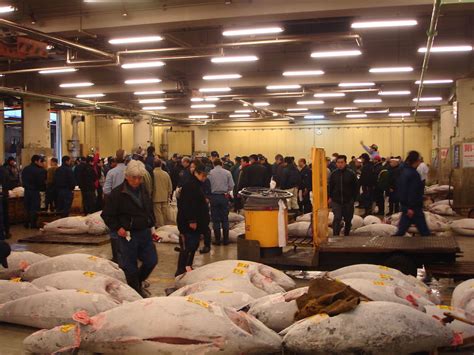 8 Famous Fish Markets In Japan You Must Visit Triplisher Stories