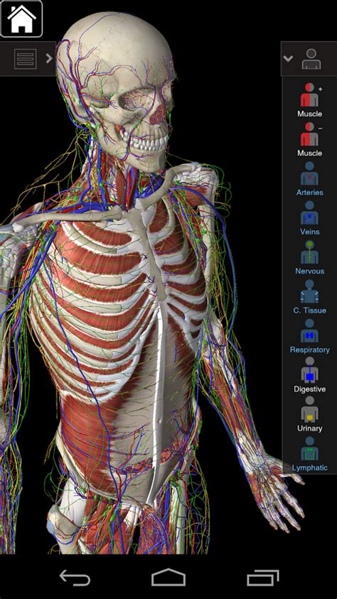 Essential Anatomy 3 Free Download Android Androidjulg