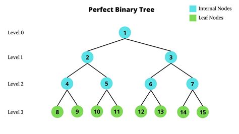 Perfect Binary Tree