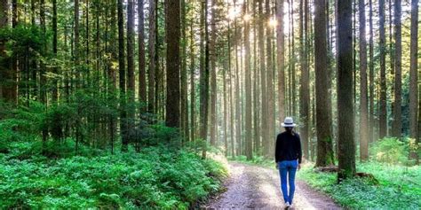 10 amazing health benefits of walking in nature