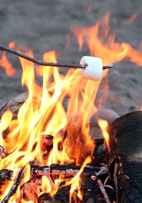 Toasty Marshmallows Vw Camping Camping Survival Camping Meals