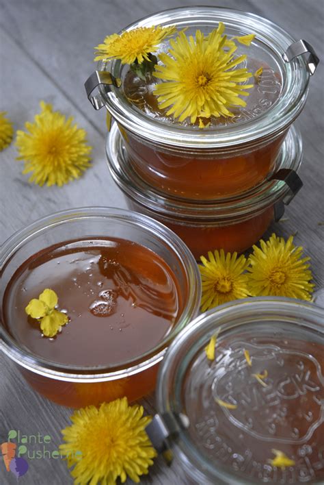 We did not find results for: The best vegan dandelion honey - that actually tastes like ...